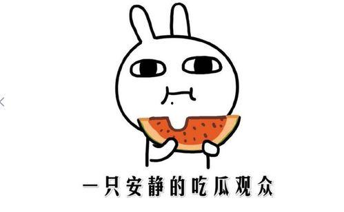 吃瓜的情景,揭秘吃瓜群众的欢乐时光