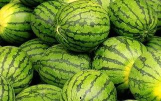 51吃瓜网每日大赛往期,回顾往期精彩瞬间,揭秘幕后故事